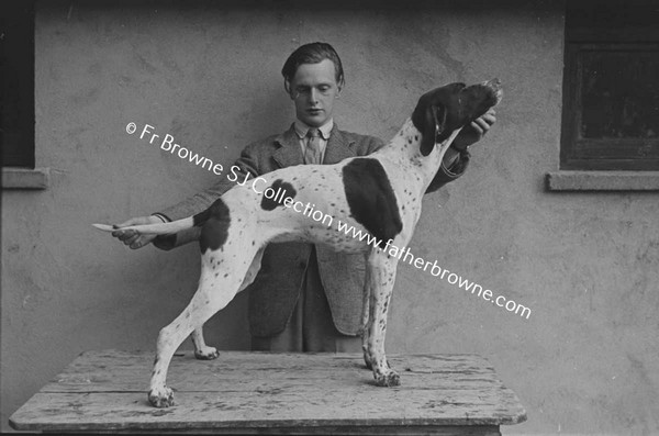 FRENCHPARK FRANCIS  LORD DE FREYNE WITH PEDIGREE GUN DOGS